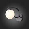 Светильник настенный ST Luce Legatezza SL1502.401.01