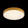 Потолочный светильник Loft It Axel 10002/24 Yellow
