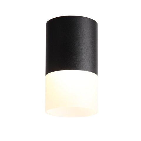 Светильник потолочный ST Luce ST100.402.10
