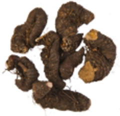 Горец змеиный (корень, 50гр.) (Старослав)