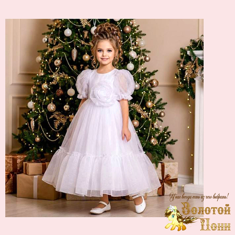 Платье нарядное на корсете (6-9) 251204-W2106