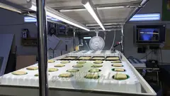 Многоярусный гидропонный стеллаж 3 яруса 1750х1250х600мм до 180 растений