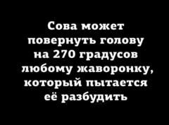 первый для проверки
