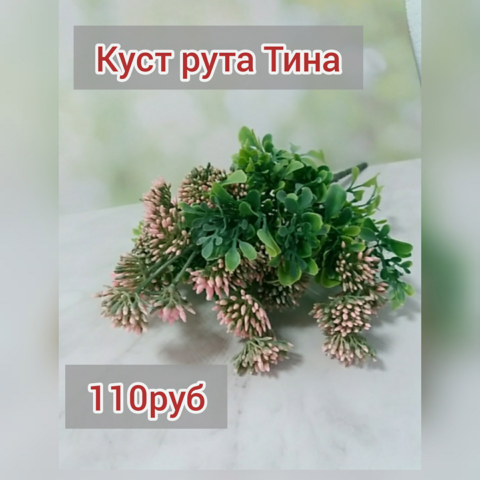 Куст рута с соцв. пластм. 