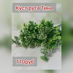 Куст рута с соцв. пластм. 