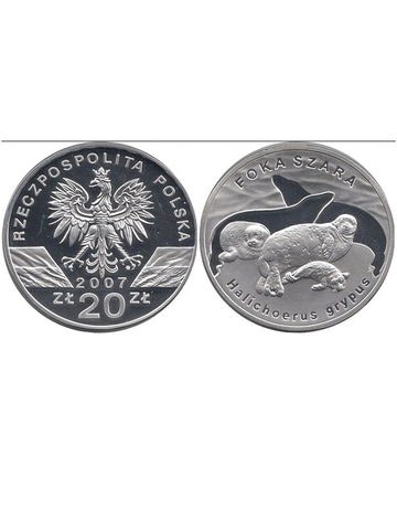 20 злотых 2007 год, Польша. Длинномордый тюлень. Животный мир. Серебро. PROOF