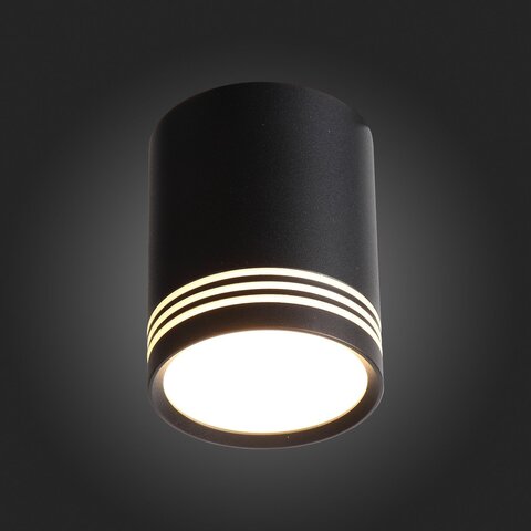Светильник потолочный ST Luce Cerione ST101.402.12