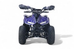 Детский бензиновый квадроцикл RiverToys LEON с электростартером