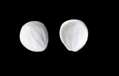 Силиконовый Вайнер 