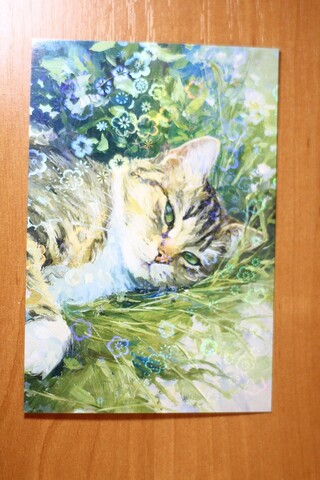 Котик на полянке