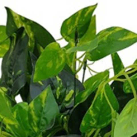 Искусственное комнатное растение в горшке Avesta, полипропилен