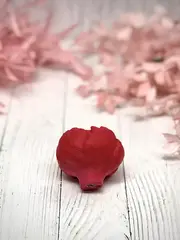 Пищевой молд 
