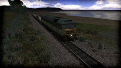 Train Simulator: WSR Diesels Loco Add-On (для ПК, цифровой код доступа)