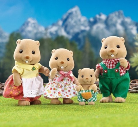 Sylvanian Families Набор 