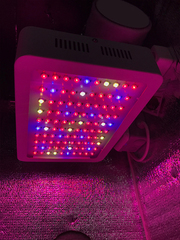 Mini Гроубокс В100хД40хШ40 LED 150w SILENT на 1 растение