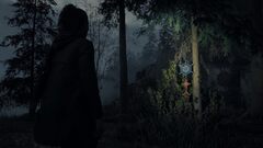 Alan Wake 2 (II) Deluxe Edition (диск для PS5, интерфейс и субтитры на русском языке)