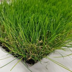 Искусственная трава Август (Грин  Эко) 50 мм, ширина 2м, рулон 20м