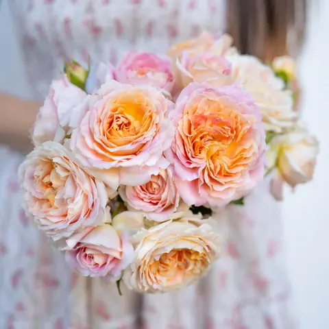 Фан ин зе Сан (Fun in the Sun)