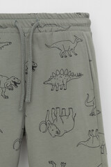 шорты  для мальчика  КР 400793-1/зеленый чай,динозавры к554