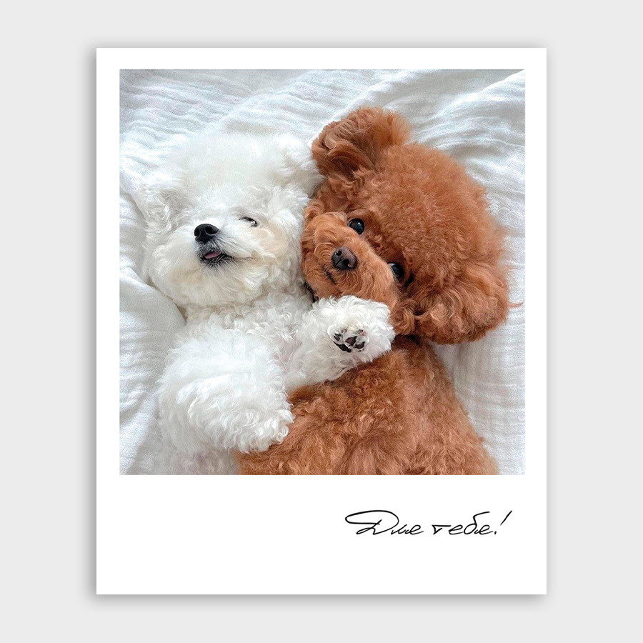 Фото-карточка 