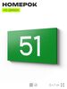 Табличка с номером 51 на дверь квартиры, для офиса, кабинета, аудитории, склада, зеленая 120х70 мм, Айдентика Технолоджи