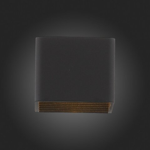 Светильник настенный ST Luce Grappa 2 SL455.041.01