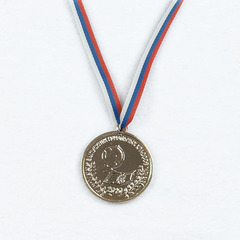 Медаль штампованная «Выпускник начальной школы»