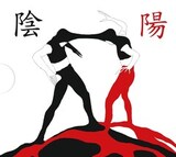 ANIMAL ДЖАZ: Инь/Ян