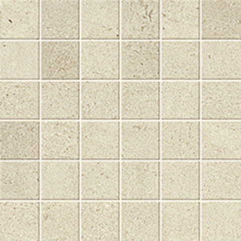 Atlas Concorde Russia Wise Mos.Ice Mist Lap. 30x30