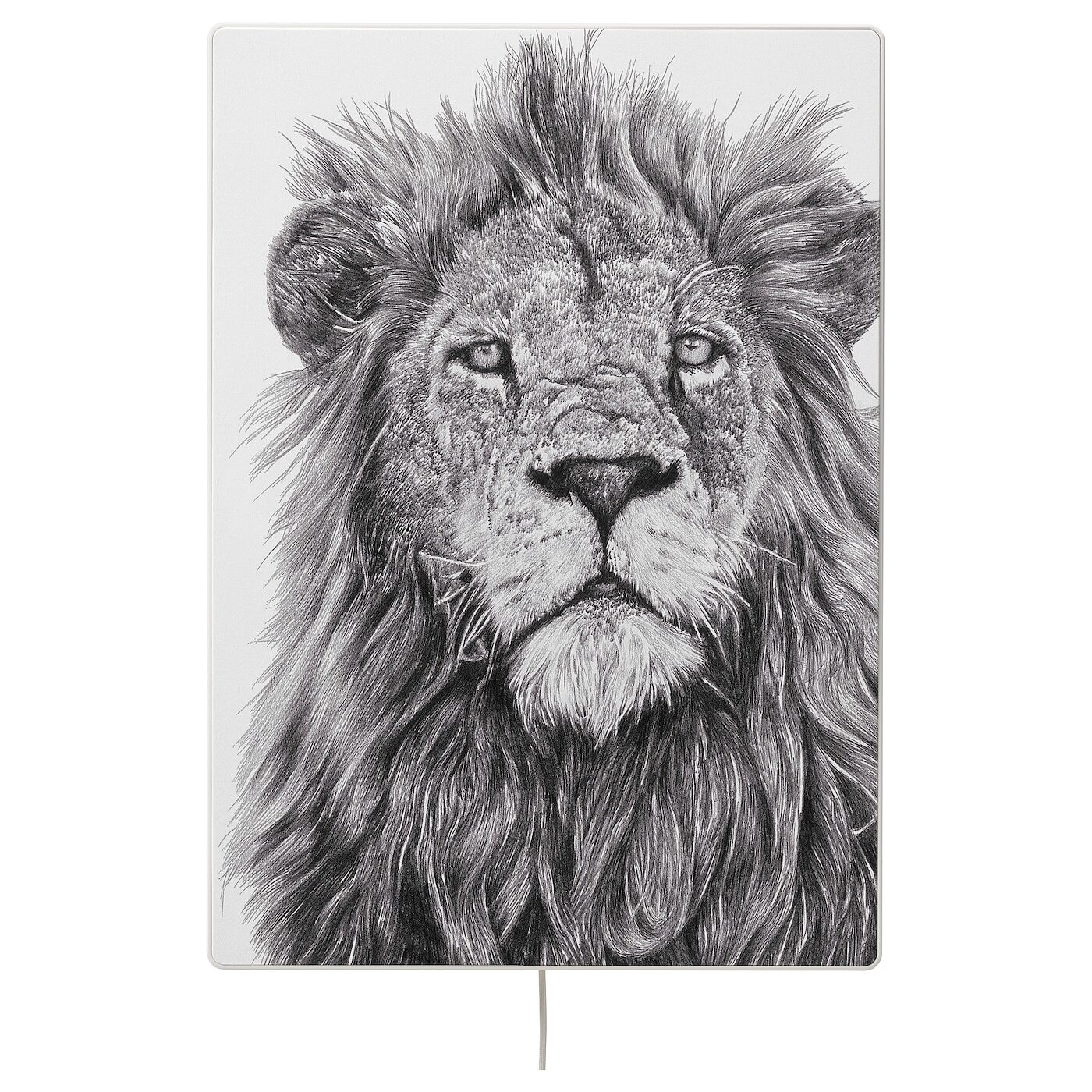 Панель лев. Панели для стен с изображением льва. Панель пвх лев топаз (фриз с золотым опылением) 2700*250*0,010 (12шт/уп). Панель пвх unique (2700*250) король лев (фон). Панели пвх с фризом.