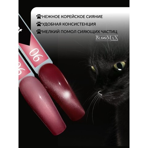 BlooMaX CERAMIC CAT 06