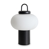 Настольный светильник Freya Take FR6175TL-L10B