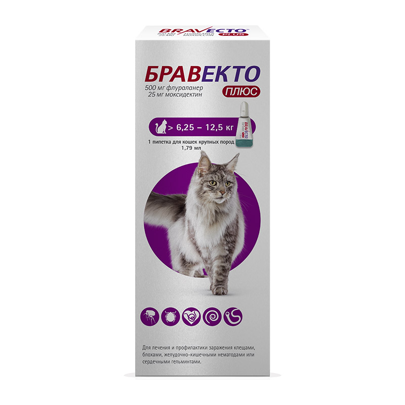 Бравекто Плюс для кошек 6,25-12,5 кг капли – купить за 2730 руб ...