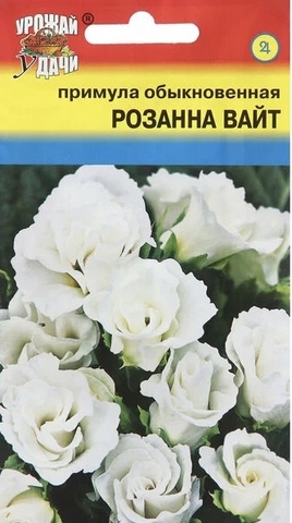 Семена Примула Розанна Вайт