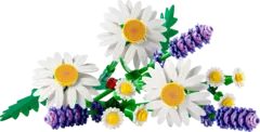 Конструктор LEGO Botanical Collection 11508 Daisies