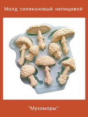 1576-С Молд силиконовый непищевой 