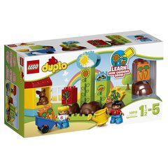 LEGO Duplo: Мой первый сад 10819