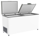 Ларь морозильный Frostor F 600 SD (R290)