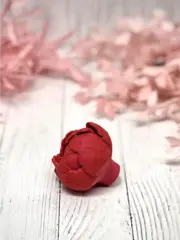 Пищевой молд 