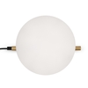 Настольный светильник Freya Blossom FR5259TL-01BS