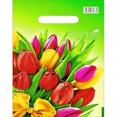 Пакет с вырубной ручкой 20х30 Весна