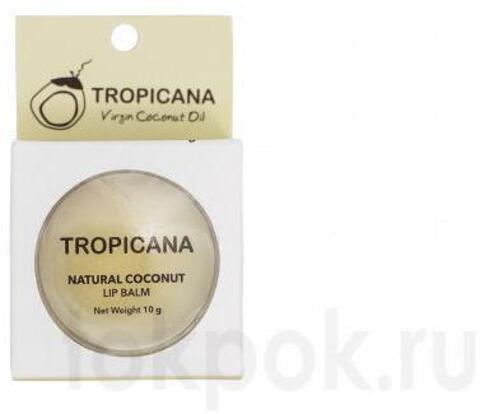 Бальзам для губ TROPICANA Coconut Lip Balm Coconut Delight, 10 гр