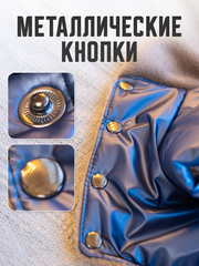 Royal Dog зимний костюм Мажор S/M