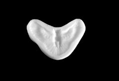 Силиконовый молд № 369 Сова в полете