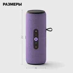 Портативная умная колонка Яндекс Станция Стрит с Алисой, 30 Вт,YNDX-00030VIO , фиолетовый