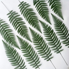 Папоротник, зелень искусственная, 56 см., набор 10 веток.