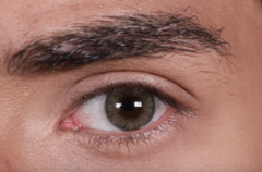 Solótica™ NC - AMBAR