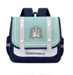 Çanta \ Bag \ Рюкзак WJWZ Look Here blue green