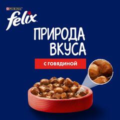 Felix Природа вкуса пауч для взрослых кошек Говядина 75 г