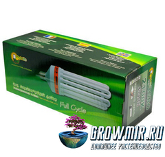 КЛЛ лампа PHYTOLITE DUAL 2100K 125W